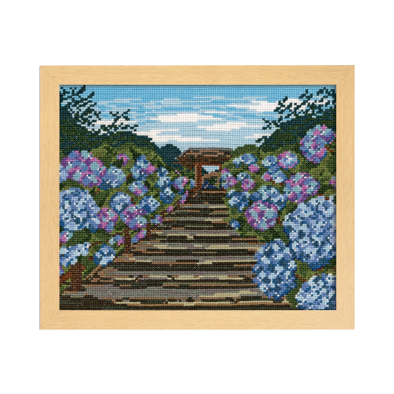No.7460 Hydrangea at Meigetsu-in Temple in Kamakura