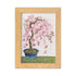 Embroidery kit