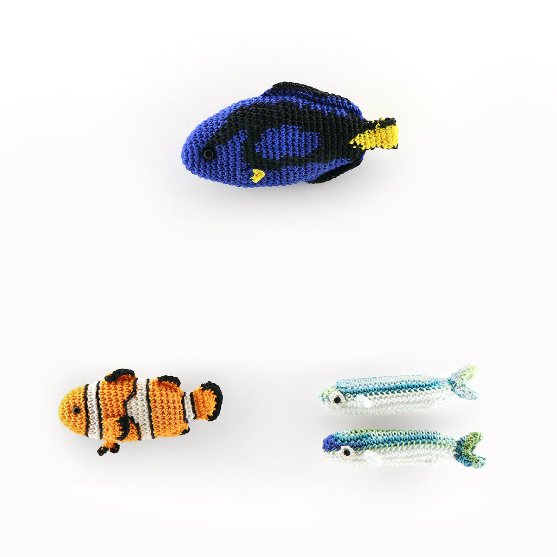 EG-131 Swimming with clownfish in the ocean