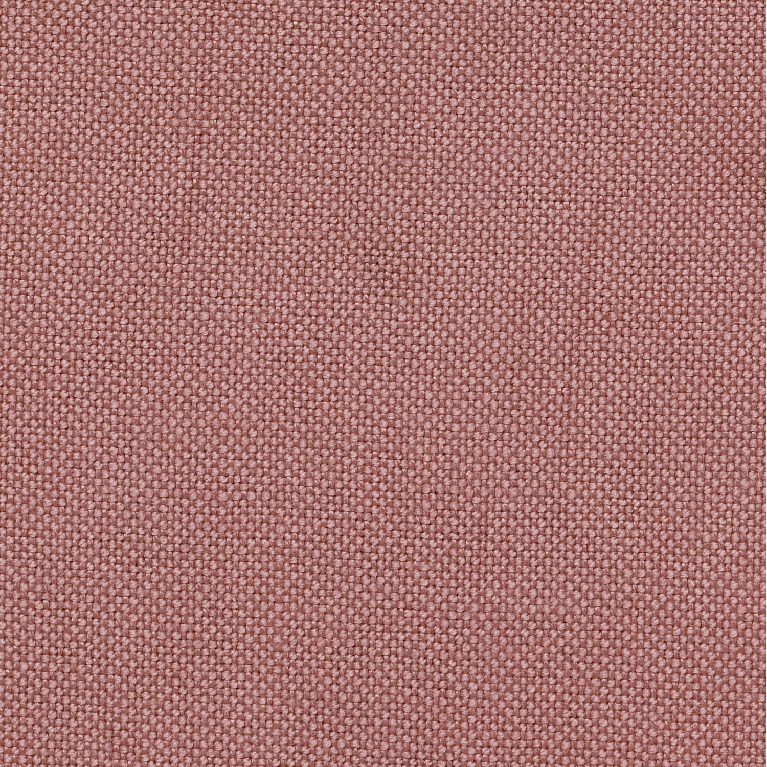 STITCH CLOTH　No.6500 エミークロス