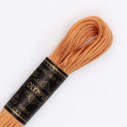 25番刺しゅう糸 茶系