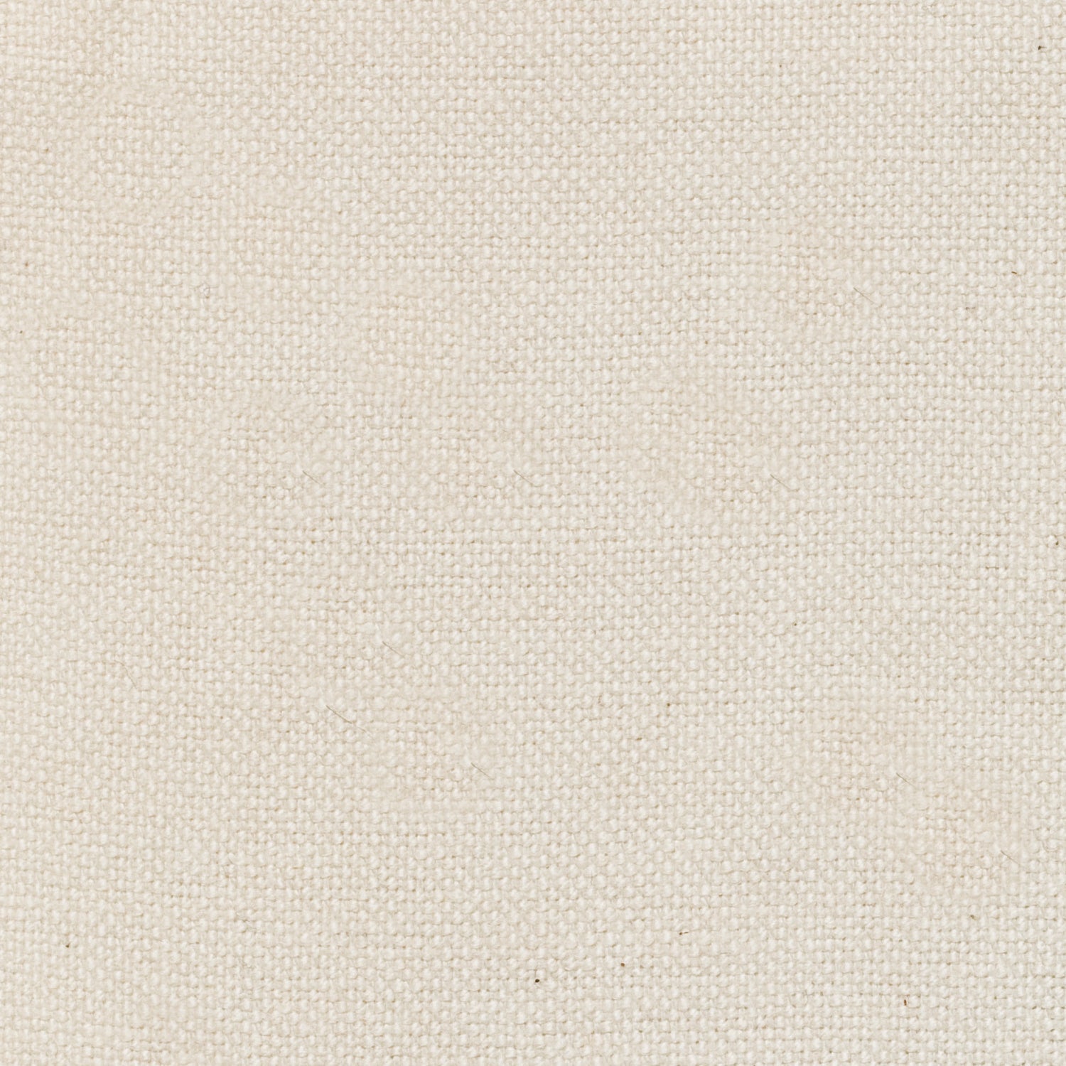 STITCH CLOTH　No.6500 エミークロス